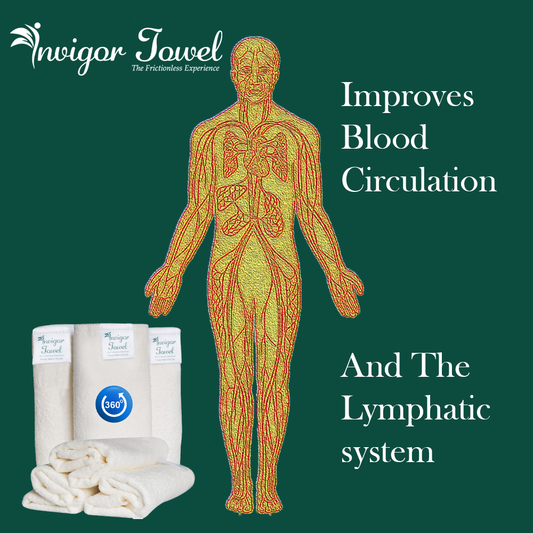 Blood Circulation Lymphatic